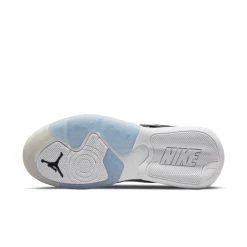 Jordan Point Lane ASW Men's Shoes Basketball