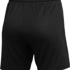 WOMEN'S NIKE DRY PARK III SHORT NB Soccer