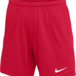 WOMEN'S NIKE DRY PARK III SHORT NB Soccer