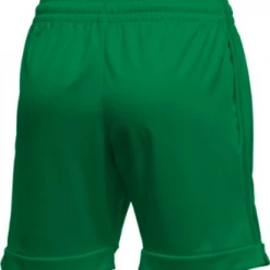 WOMEN'S JORDAN TEAM PRACTICE SHORT Stock Uniforms 33 WOMEN'S JORDAN TEAM PRACTICE SHORT Stock Uniforms