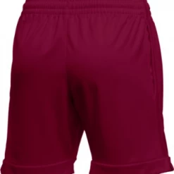 WOMEN'S JORDAN TEAM PRACTICE SHORT Stock Uniforms 41 WOMEN'S JORDAN TEAM PRACTICE SHORT Stock Uniforms