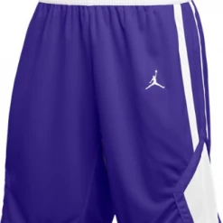 WOMEN'S JORDAN TEAM STOCK SHORT