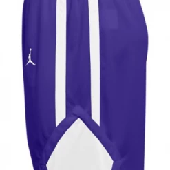 WOMEN'S JORDAN TEAM STOCK SHORT