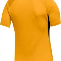 WOMEN'S NIKE US SS LEGEND JERSEY Stock Uniforms