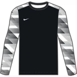 MEN'S NIKE DRY LS US PARK IV GK JERSEY